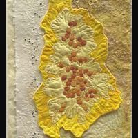 Lichens